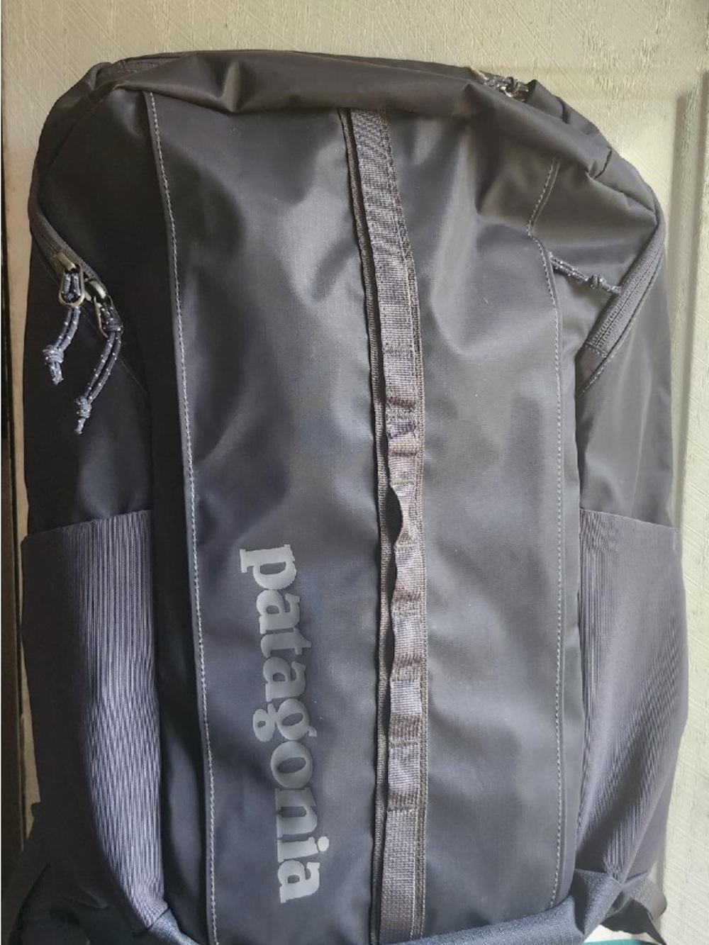 Patagonia Black Backpack